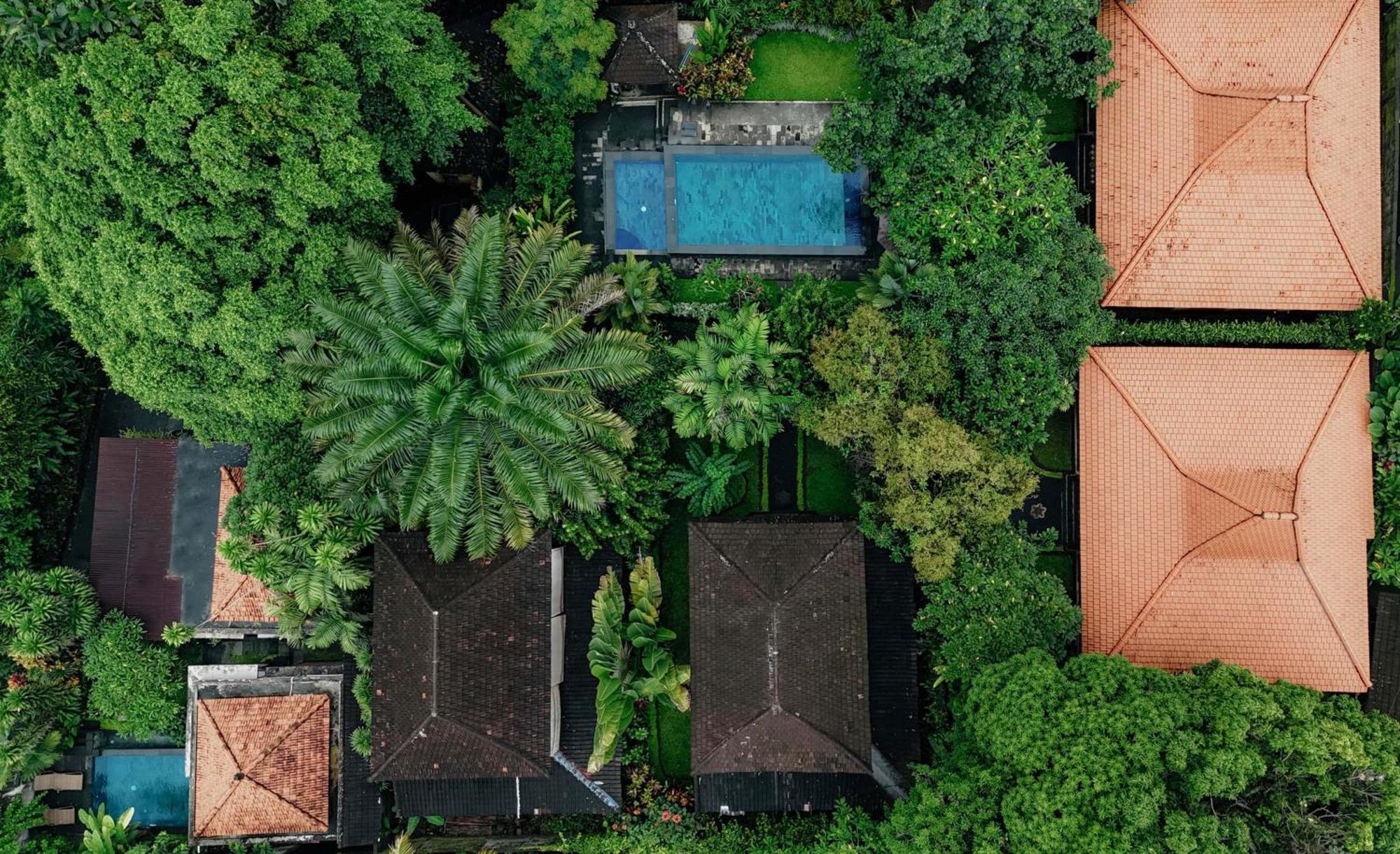 Sari Bamboo Villas Убуд Экстерьер фото