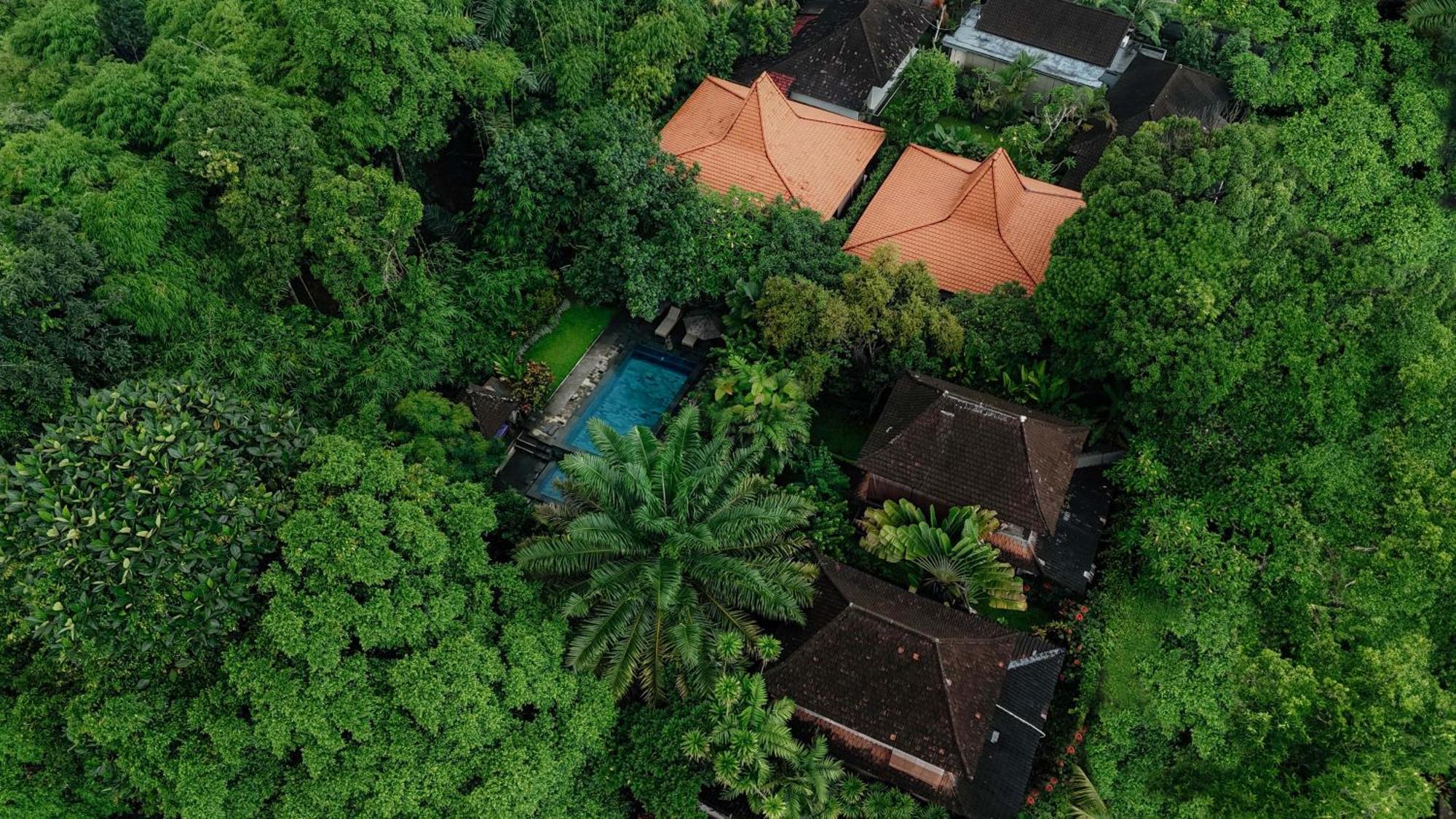 Sari Bamboo Villas Убуд Экстерьер фото